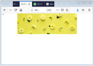 CSS Background Image CSS Background Position